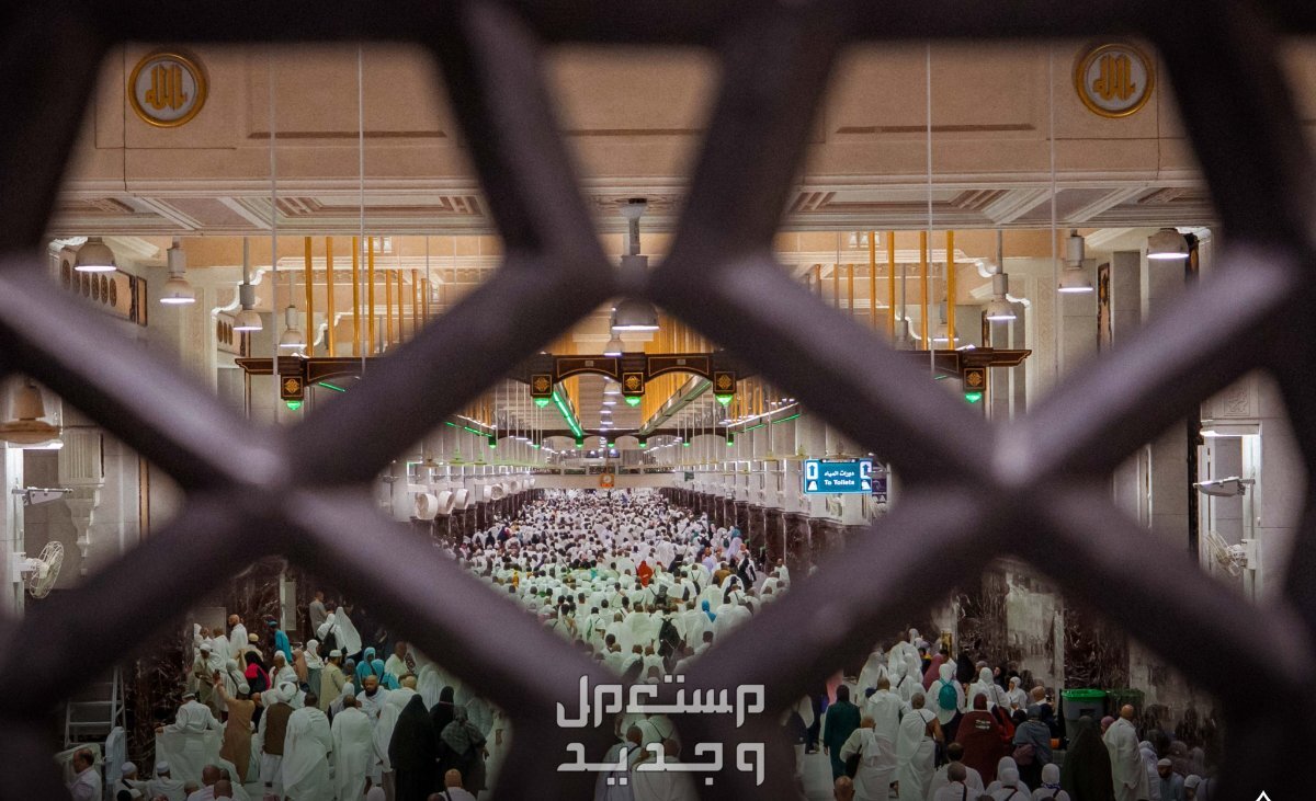 باقات موسم الحج الجديدة 2024.. بمزايا وخدمات ميسّرة