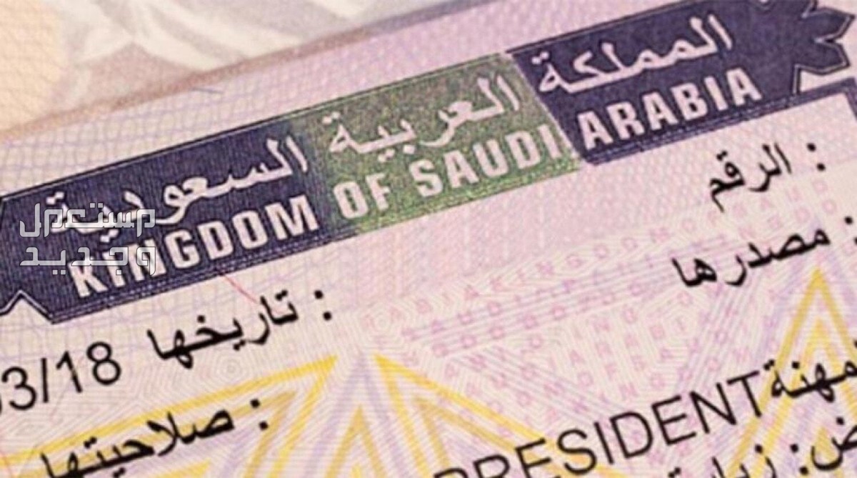 خطوات استخراج تأشيرات فردية من مكتب العمل 2024 تأشيرات مهنية فردية