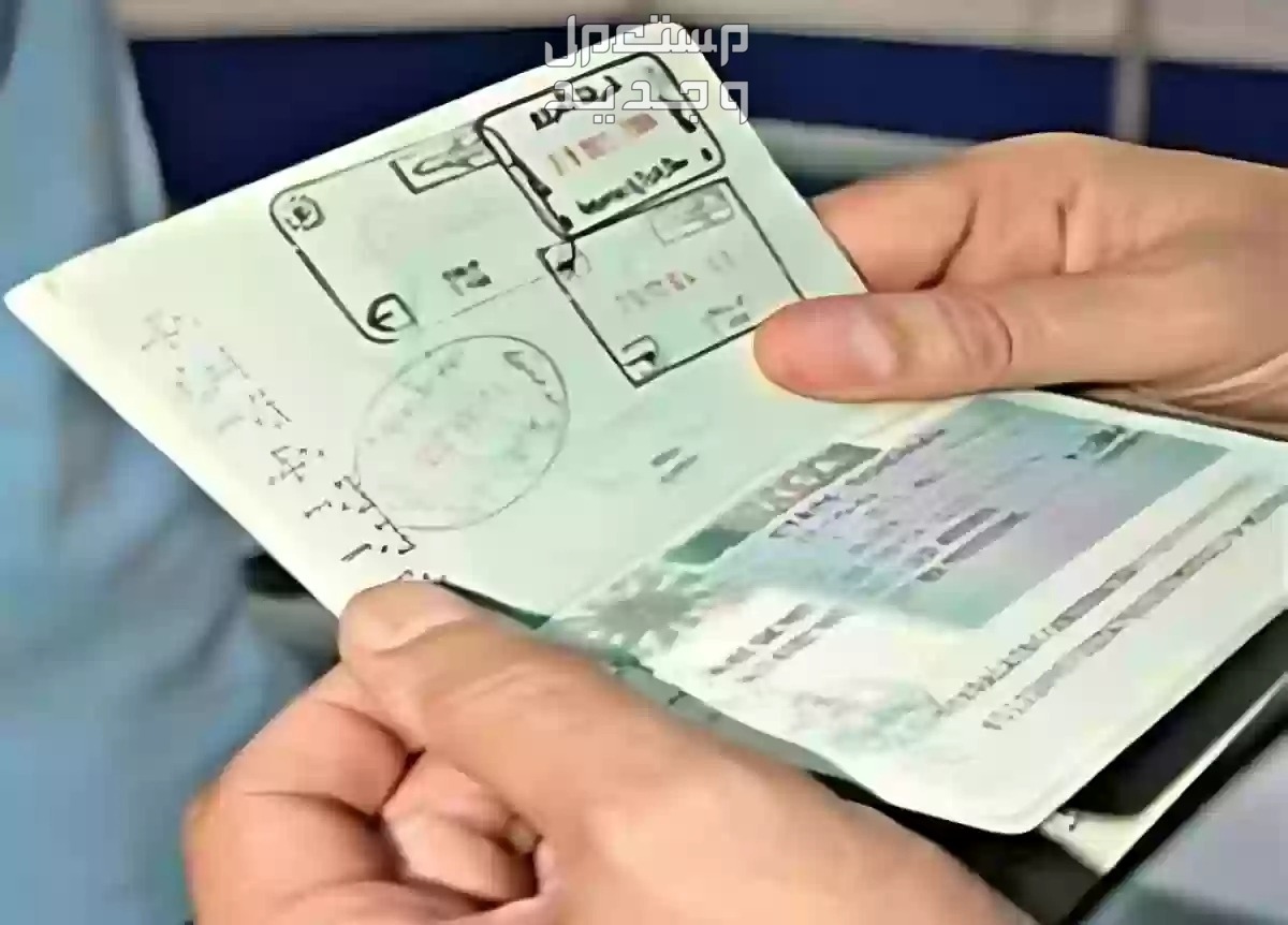 خطوات استخراج تأشيرات فردية من مكتب العمل 2024 تأشيرة العمل