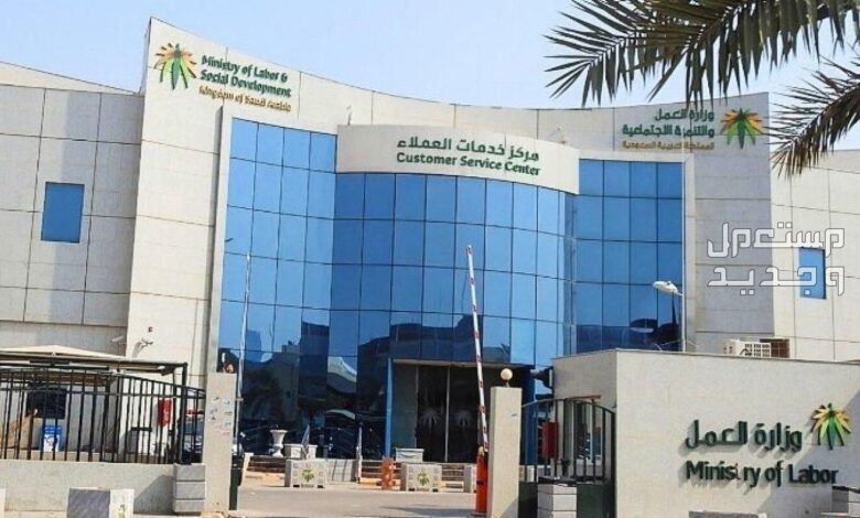 خطوات استخراج تأشيرات فردية من مكتب العمل 2024 خطوات استخراج التأشيرات المهنية الفورية