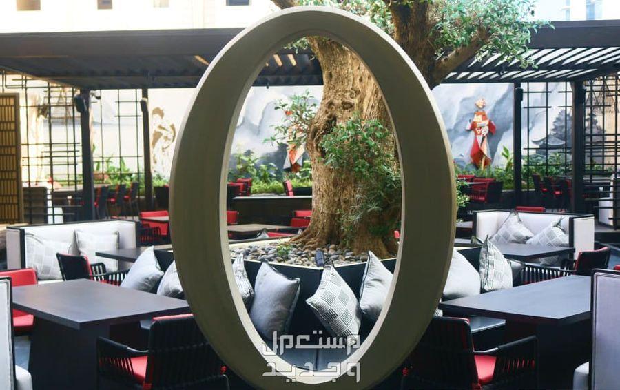 أفضل 5 كافيهات الرياض جلسات خارجية 2024 بإطلالة رائعة اوكو