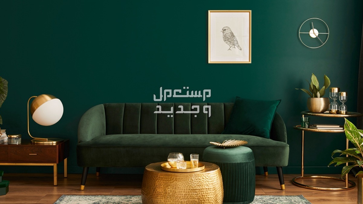 درجات اللون الأخضر في الدهانات 2024 وكيفية اختيار الدرجة المناسبة درجات اللون الأخضر في الدهانات 2024 وكيفية اختيار الدرجة المناسبة