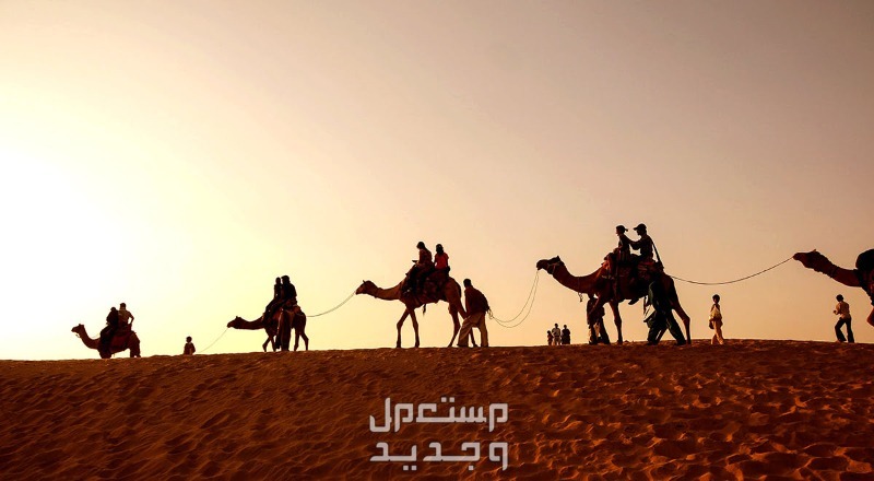 افضل اماكن التخييم في الرياض افضل اماكن التخييم في الرياض