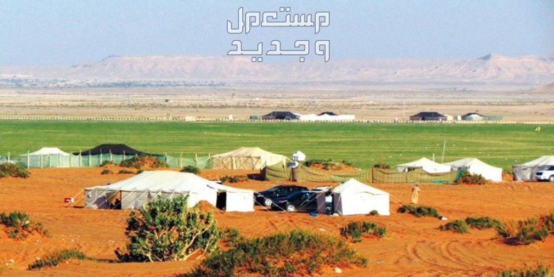 افضل اماكن التخييم في الرياض روضة أم الشقوق