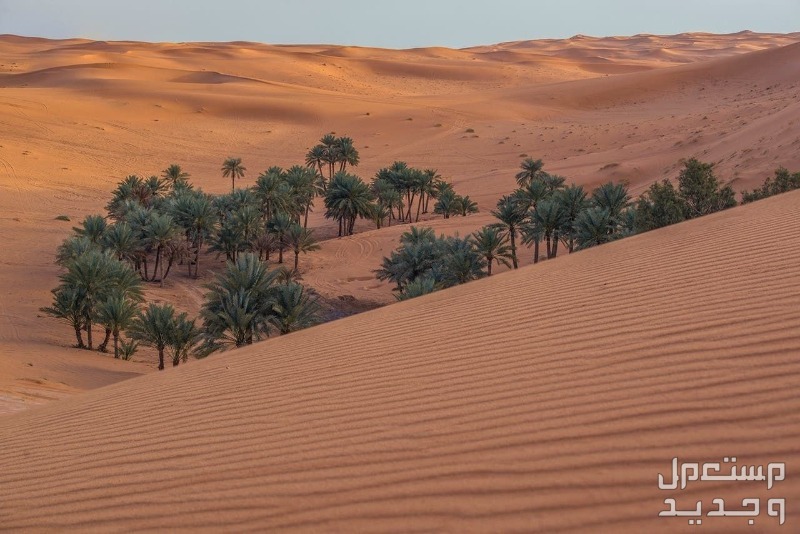 افضل اماكن التخييم في الرياض كثبان الرمال الحمراء