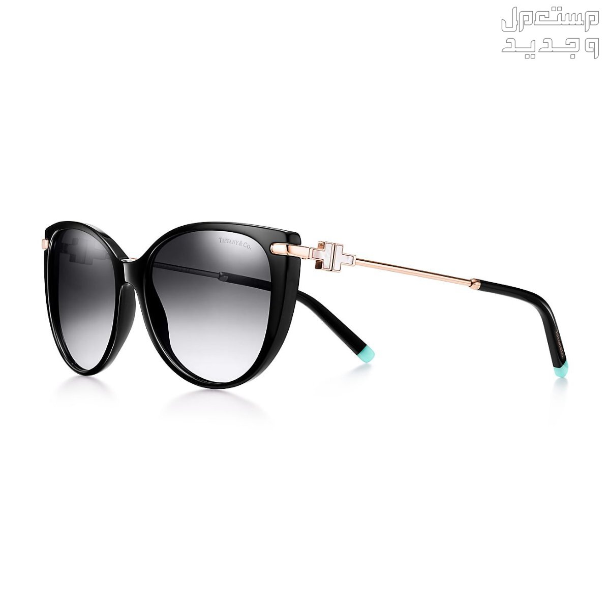 أشكال نظارات عين القط موضة 2024 في الأردن نظارات عين القط Tiffany & Co. T Acetate Frame cat eye sunglasses