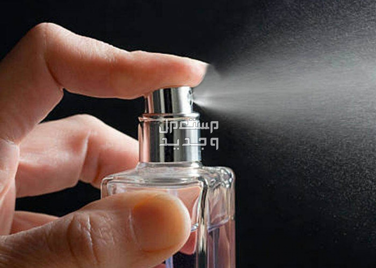 أفضل عطور نسائية مثيرة ورخيصة 2024 وأسعارها عطور نسائية مثيرة رخيصة