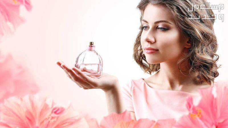 أفضل عطور نسائية مثيرة ورخيصة 2024 وأسعارها عطر نسائي مثير سعر رخيص