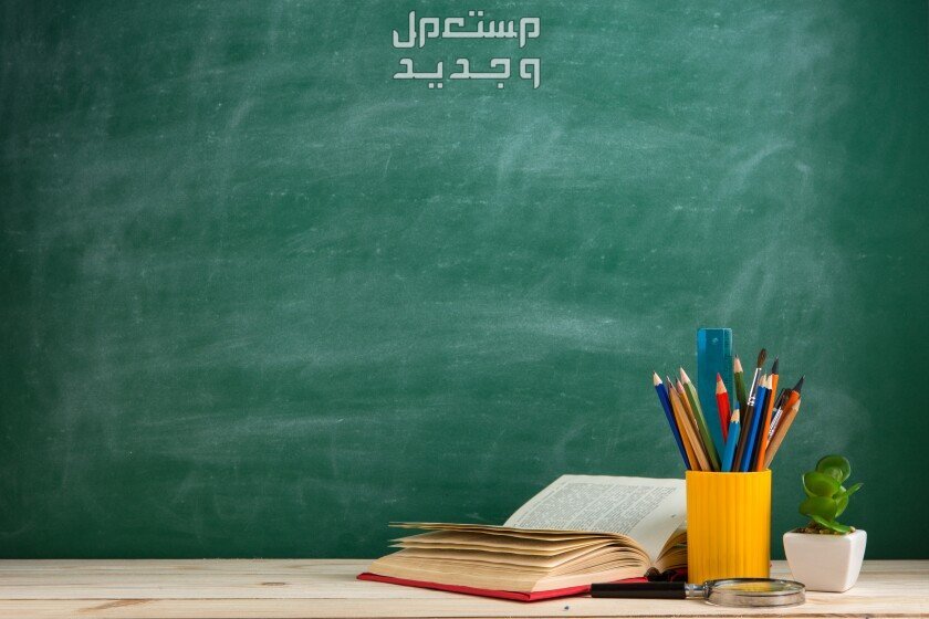 أفضل عبارات شكر للدكتور الجامعي والمعلم.. وأفكار هدايا للمدرسين كلمات امتنان لأستاذ الجامعة