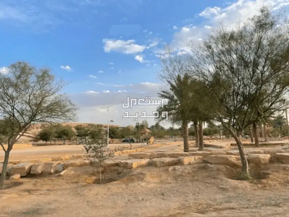 أفضل 10 أماكن ومعالم سياحية في الرياض 2024 لعطلة عيد الأضحى حديقة الملك سلمان