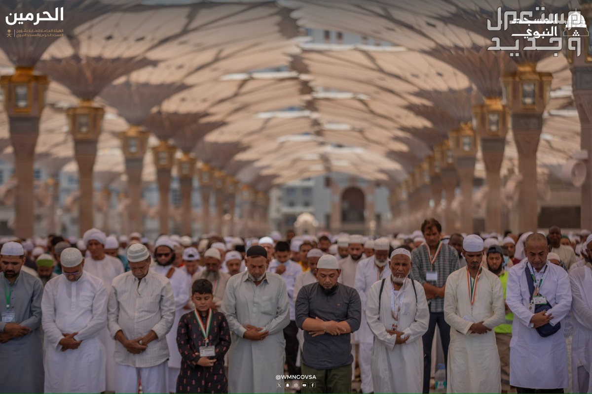 شروط التطوع في الحرم المكي والمسجد النبوي 1445 المسجد النبوي