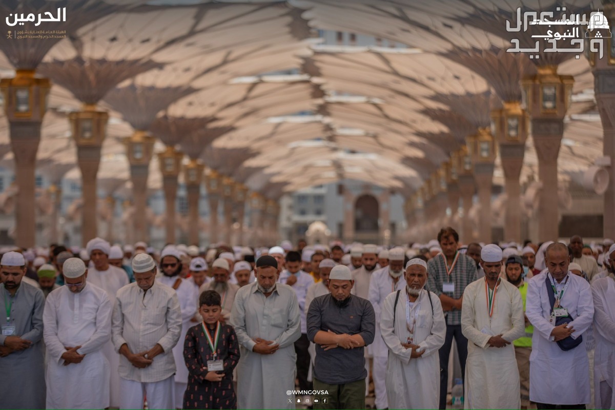 شروط التطوع في الحرم المكي والمسجد النبوي 1445 في الكويت المسجد النبوي