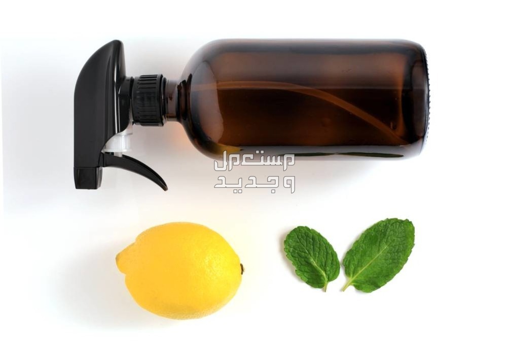 استخدامات زيت النعناع في تنظيف المنزل وتعطيره استخدامات زيت النعناع والليمون