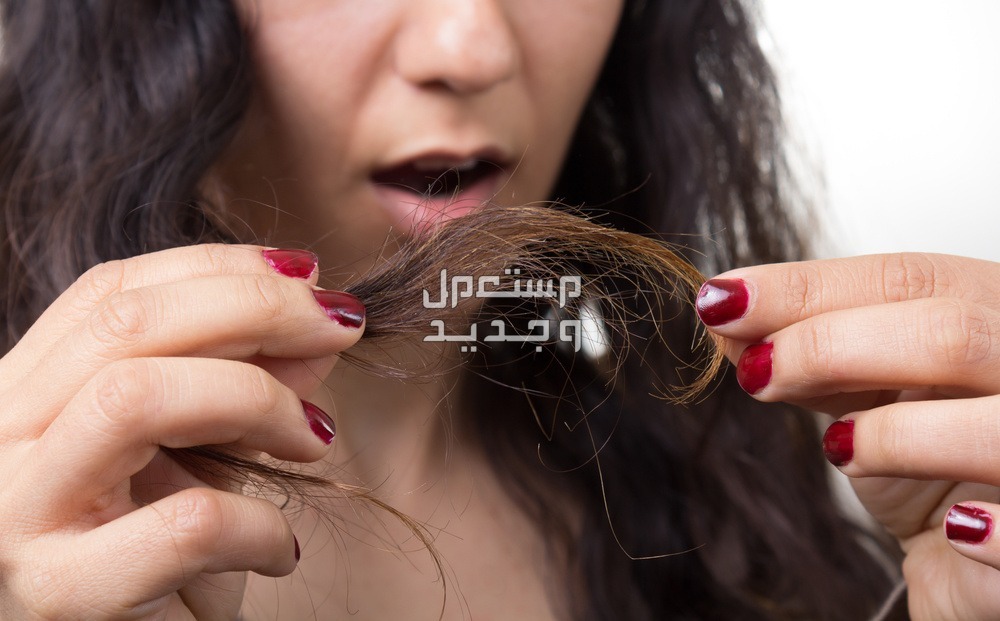 5 نصائح مهمة عليكِ معرفتها بعد قص الشعر.. لضمان تجربة ناجحة في قطر نصائح قبل قص الشعر