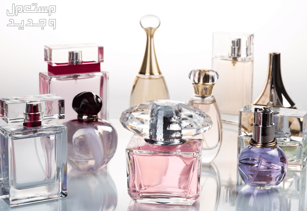 تفسير حلم عطر بدون رائحة: دلالاته ومعانيه المختلفة رؤية عطر بدون رائحة