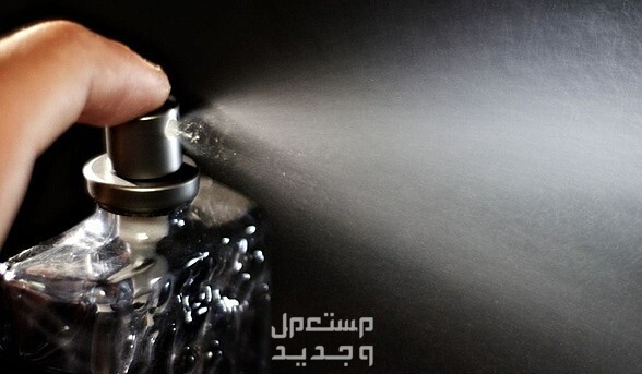 تفسير حلم عطر بدون رائحة: دلالاته ومعانيه المختلفة عطر بدون رائحة في الأحلام