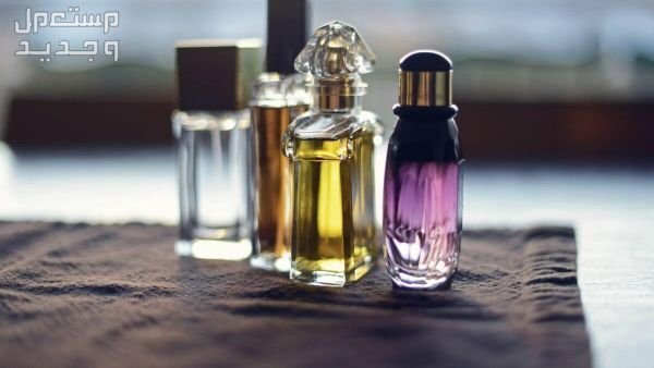 تفسير حلم عطر بدون رائحة: دلالاته ومعانيه المختلفة عطور بدون رائحة