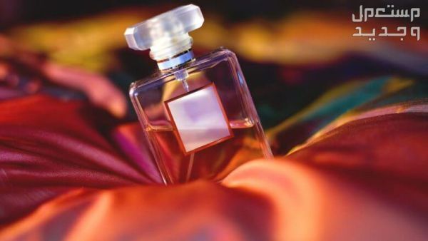 تفسير حلم عطر بدون رائحة: دلالاته ومعانيه المختلفة عطر بدون رائحة رؤية بالحلم