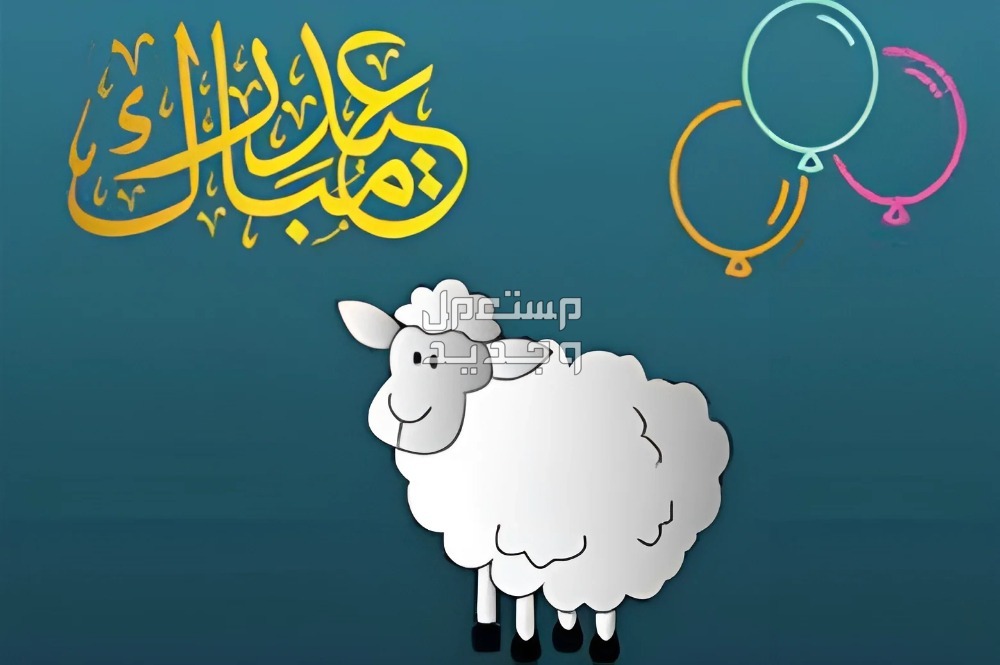 تعرف على شروط الأضحية وعمرها في عيد الأضحى 2024 عيد الأضحى