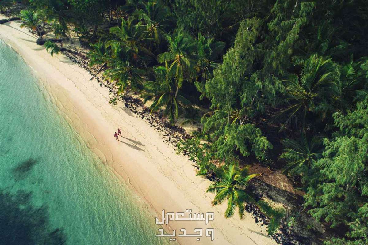 10 أخطاء شائعة تجنبها خلال عطلات الشاطئ  لعطلة صيفية رائعة عطلات الشاطئ