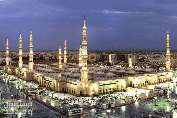 ارخص 10 فنادق في المدينة المنورة قريبة من المسجد النبوي 2024 في قطر ارخص 10 فنادق في المدينة المنورة قريبة من المسجد النبوي 2024