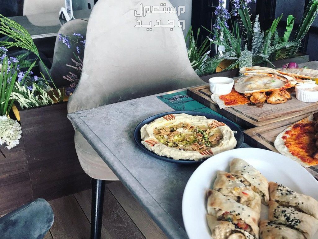 أفضل مطعم عشاء في مكة 2024 لتجربة طعام رائعة مطعم عشاء في مكة 2024