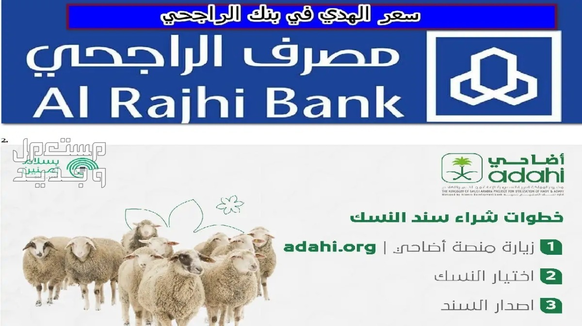 كم سعر الهدي في بنك الراجحي 2024؟ منصة أضاحي