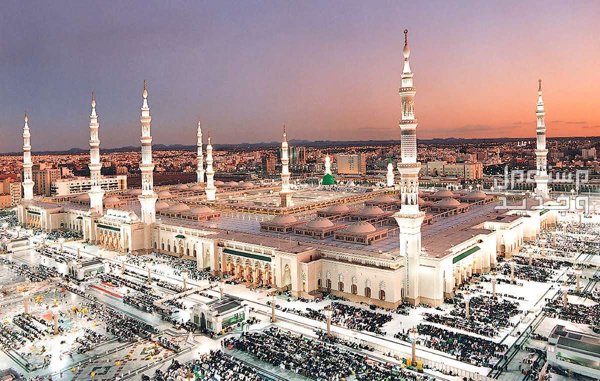 أفضل 10 أماكن سياحية في المدينة المنورة 2024 ينصح بزيارتها أفضل 10 أماكن سياحية في المدينة المنورة 2024 ينصح بزيارتها