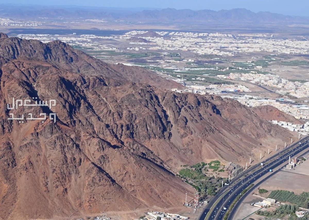 أفضل 10 أماكن سياحية في المدينة المنورة 2024 ينصح بزيارتها جبل أحد