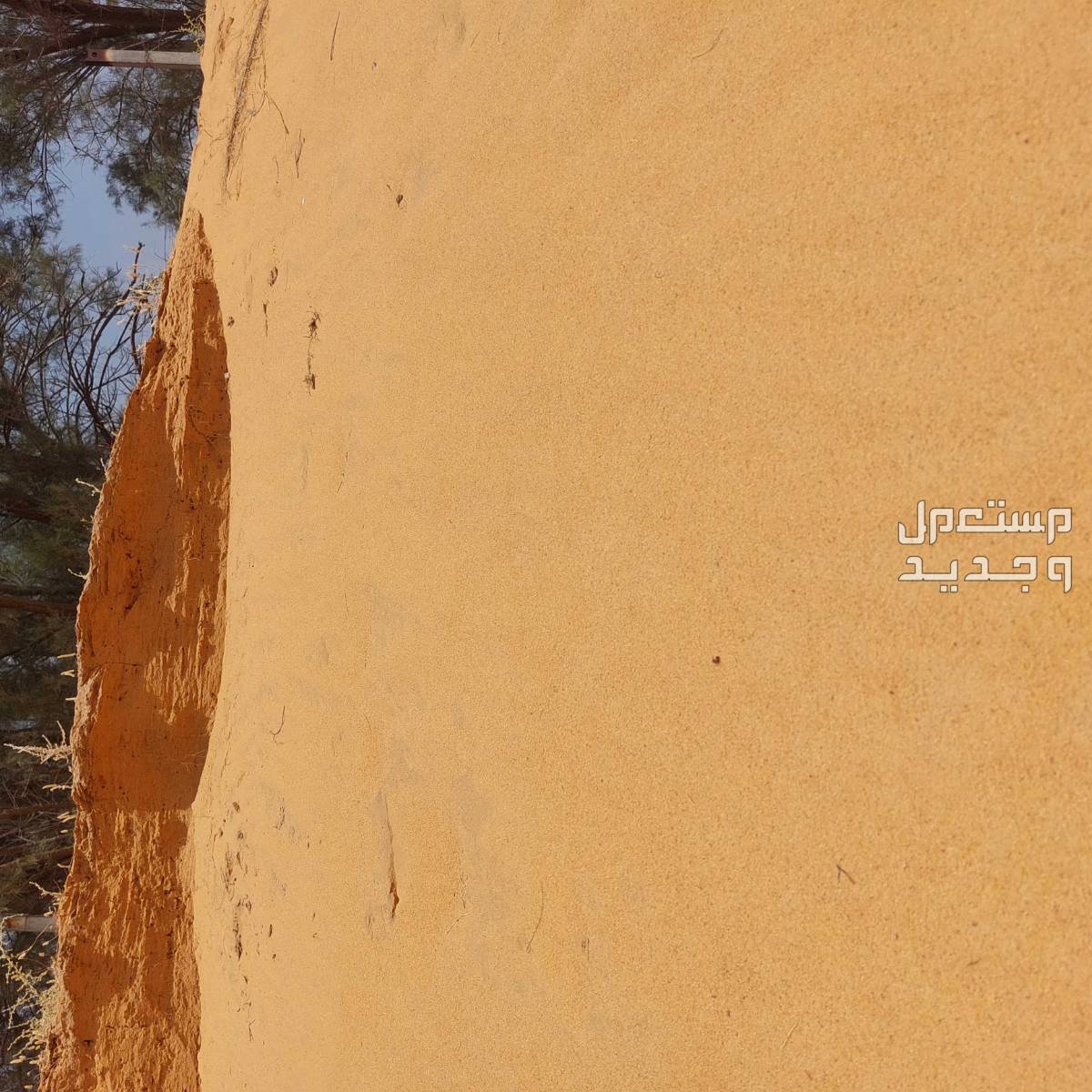 بحص ورمل ابيض واحمر في بريدة