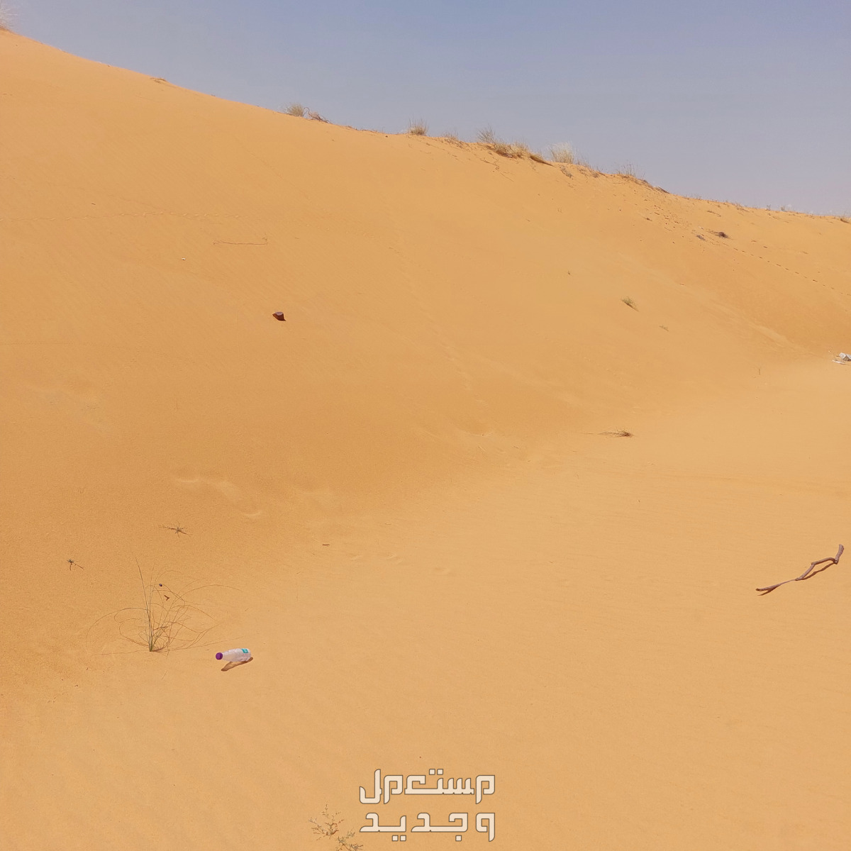 رمل ابيض ورمل احمر  وبحص