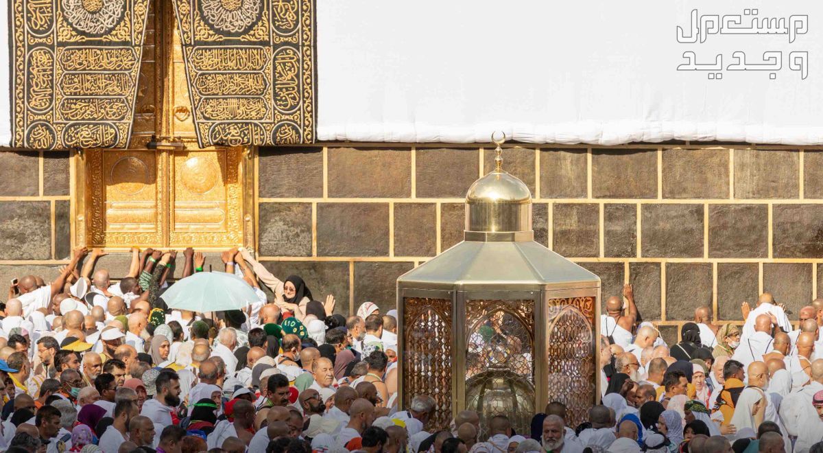 فضل صيام يوم عرفة وأحكام الأضحية وآداب العيد 2024 فضل صيام يوم عرفة