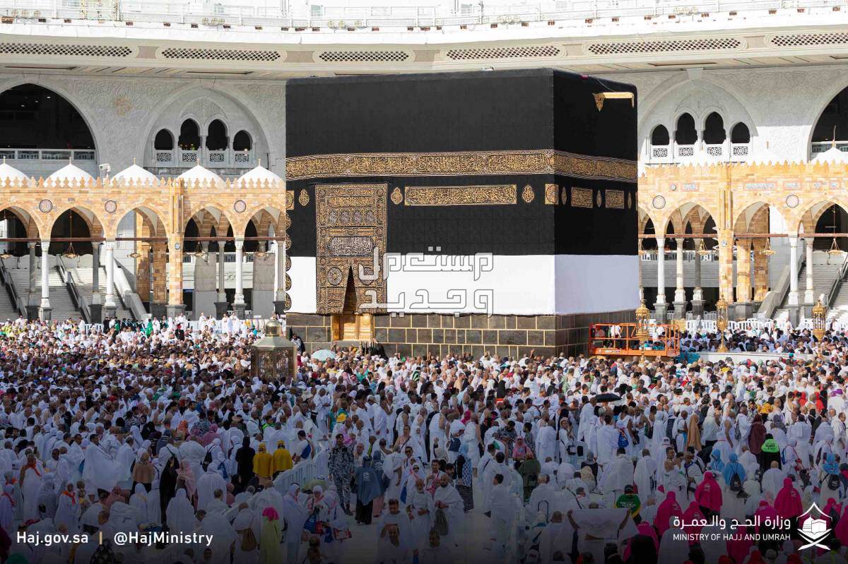 فضل صيام يوم عرفة وأحكام الأضحية وآداب العيد 2024 كم عدد صوم يوم عرفة