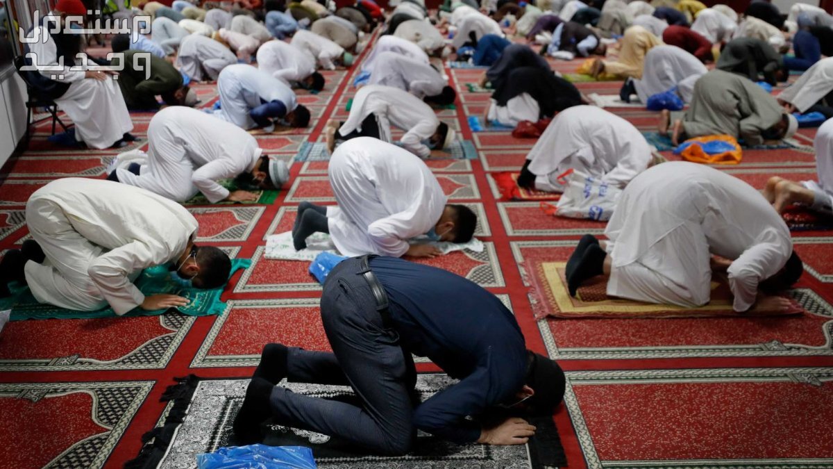 فضل صيام يوم عرفة وأحكام الأضحية وآداب العيد 2024 موعد صلاة عيد الأضحى 2024