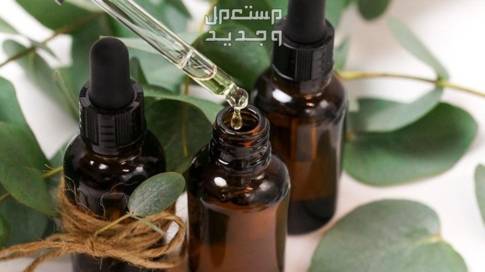 طريقة التخلص من الرائحة الكريهة في الكنب الكافور للتخلص من رائحة الكنب العفنة