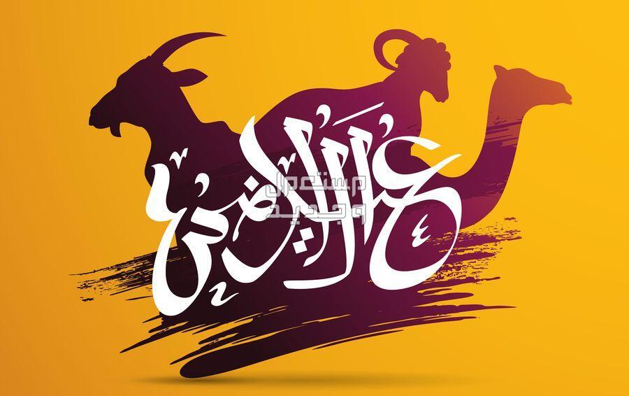 أجمل رسائل تهنئة عيد الأضحى المبارك للزوج والزوجة مكتوبة كلمات ورسائل تهنئة بعيد الأضحى 1445