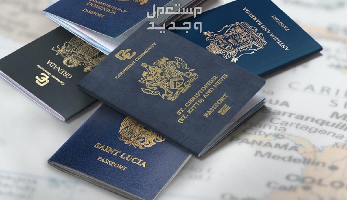 جهود لتحسين العملية حول تأخيرات جواز السفر الثاني