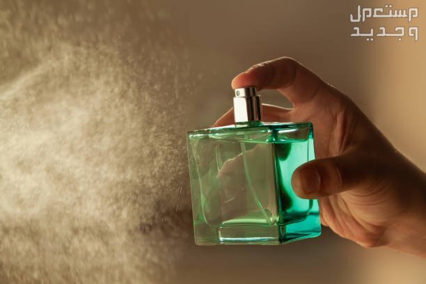 أفضل عطور صيفية للرجال 2024 والأسعار كاملة عطر رجالي صيف