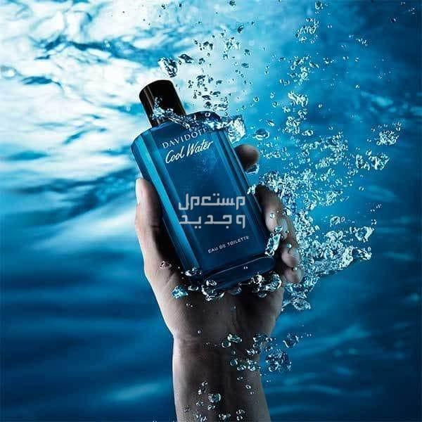 أفضل عطور صيفية للرجال 2024 والأسعار كاملة عطر للرجال