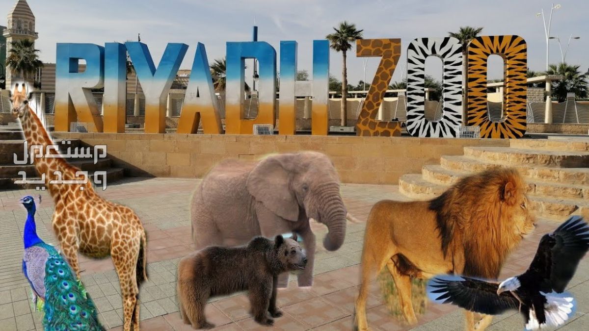 دليل شامل بأفضل 10 أماكن الترفيه بالرياض في عيد الأضحى 2024 حديقة حيوانات الرياض الوطنية