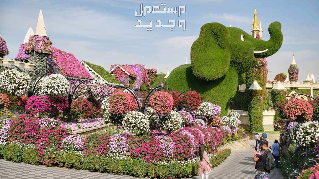دليل شامل بأفضل 10 أماكن الترفيه بالرياض في عيد الأضحى 2024 أماكن ترفيهية بالرياض في العيد