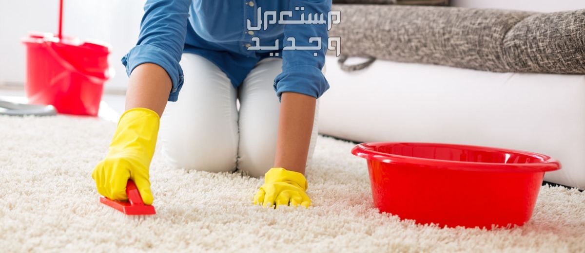 إليك 10 طرق سهلة لتنظيف السجاد والموكيت في المنزل قبل العيد طرق سهلة لتنظيف السجاد والموكيت في المنزل