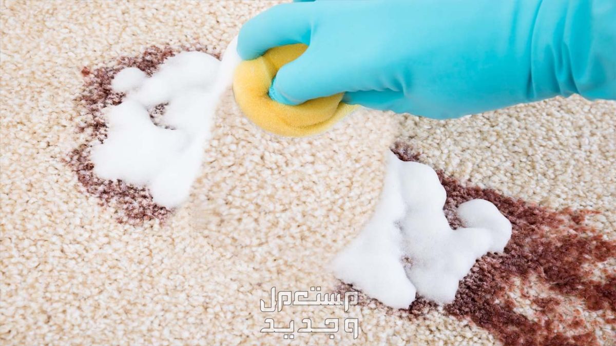 إليك 10 طرق سهلة لتنظيف السجاد والموكيت في المنزل قبل العيد تنظيف السجاد في المنزل