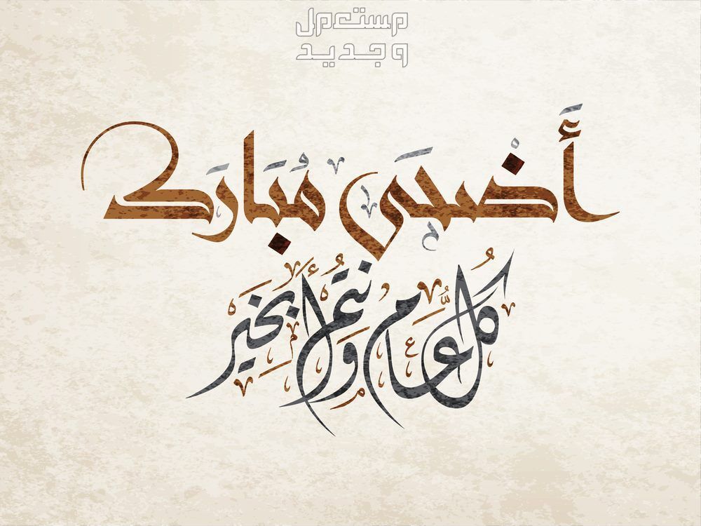 رسائل تهنئة رسمية للمدير وزملاء العمل في عيد الأضحى المبارك 2024 عيد أضحى مبارك للمدير وزملاء العمل