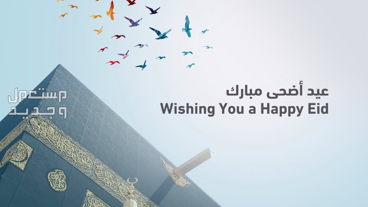 رسائل تهنئة رسمية للمدير وزملاء العمل في عيد الأضحى المبارك 2024 أجمل رسائل التهنئة بالعيد لزملاء العمل والمدير