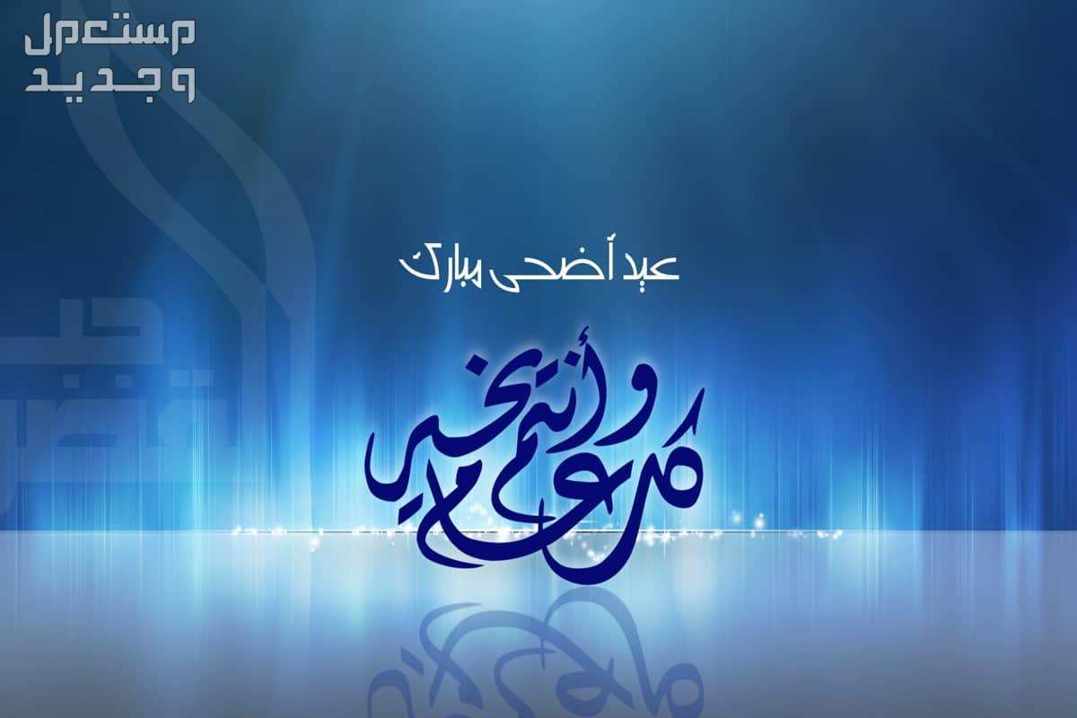 رسائل تهنئة رسمية للمدير وزملاء العمل في عيد الأضحى المبارك 2024 رسائل تهنئة رسمية للمدير وزملاء العمل في عيد الأضحى