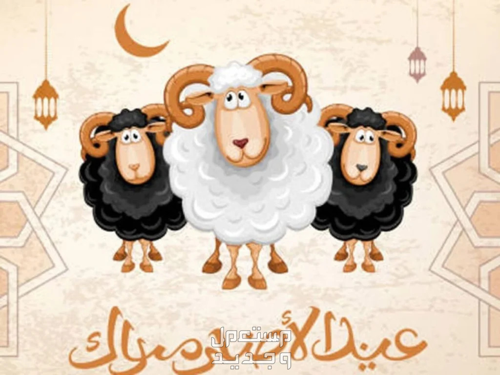 صور تهنئة عيد الاضحى 2024 عيد أضحى مبارك 2024