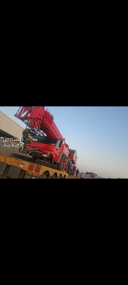 رافعات شوكيه وكرينات للايجار