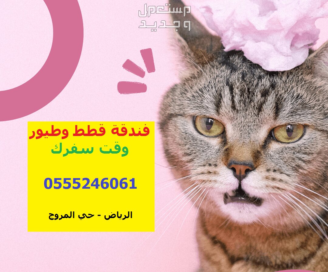 فندقة قطط وطيور وقت سفركم 61 60 24 55 05 حي المروج