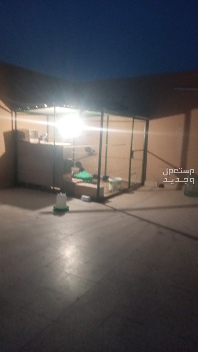 حي الموسه